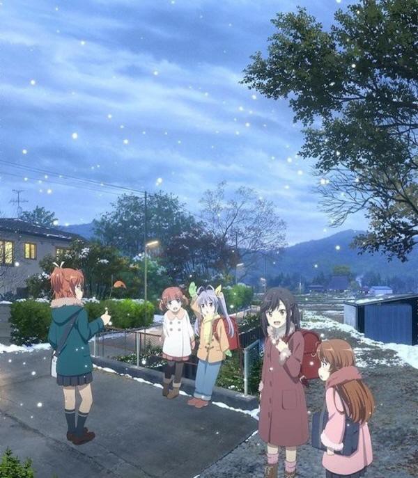 17503277186191.jpg