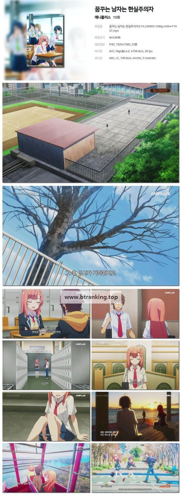 17515792458204.jpg