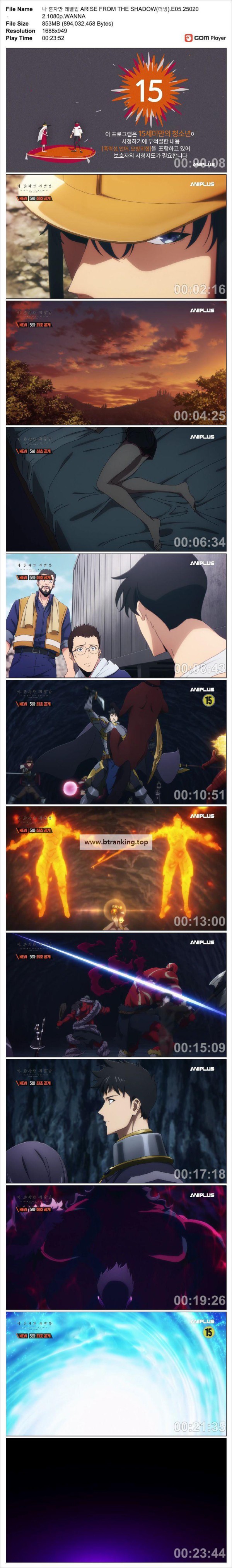17516077875123.jpg