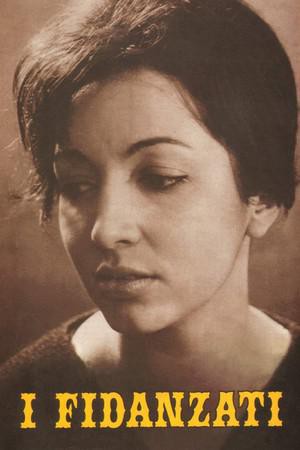 17509174607678.jpg