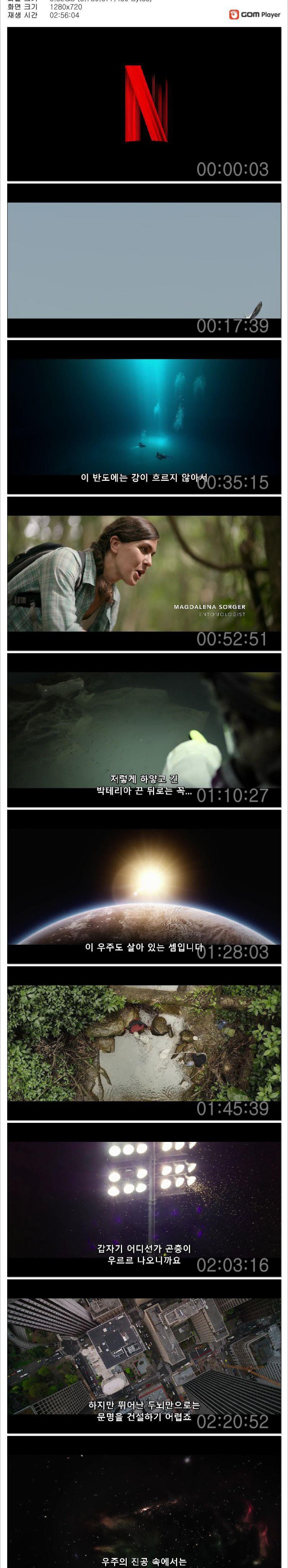 1750927047329.jpg