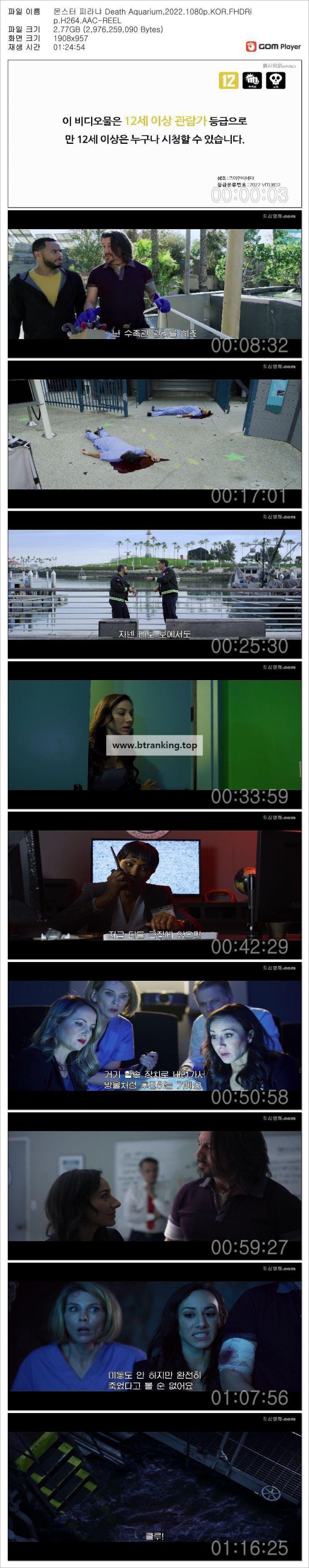 17509872606581.jpg