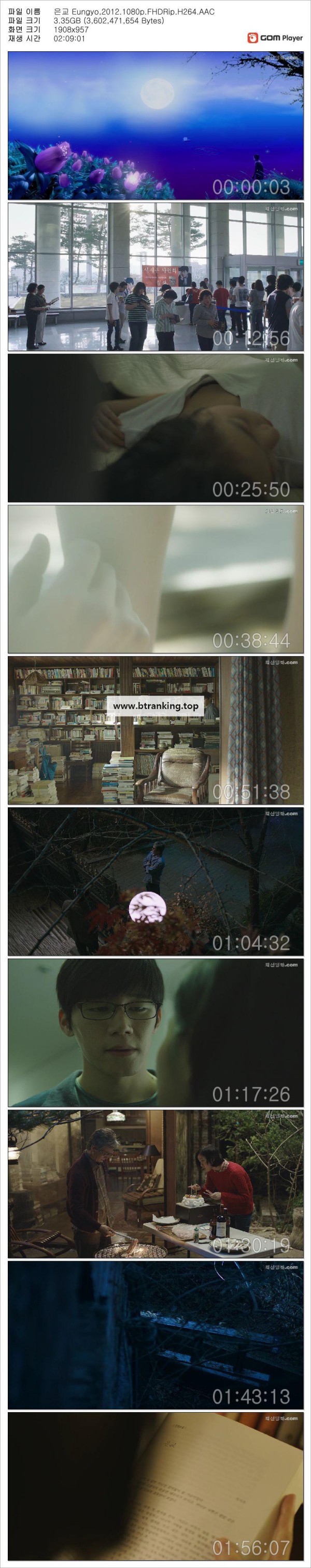 17503225787989.jpg