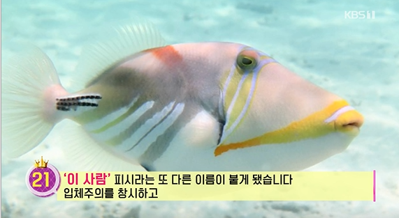 17502928713338.png