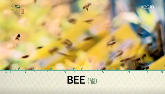 17502938350232.png