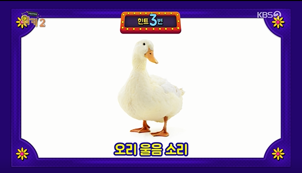 17502952050564.png