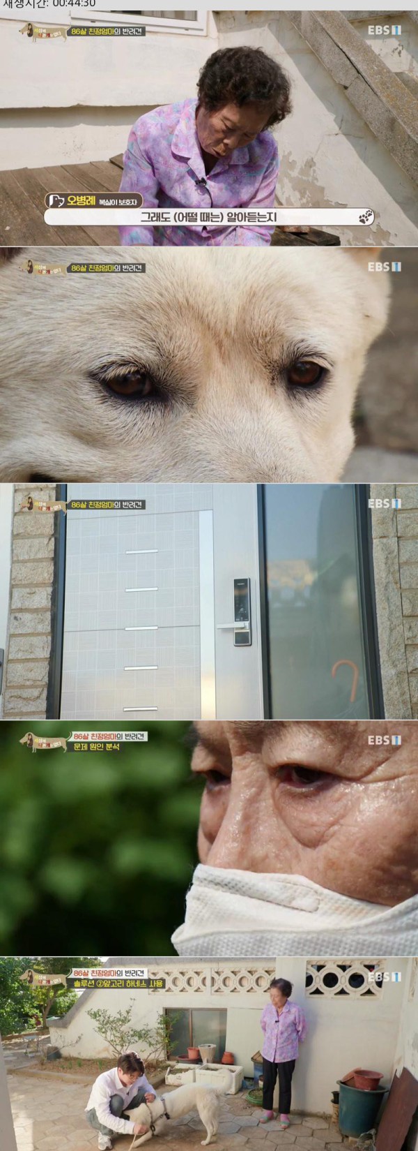 17503208383722.jpg