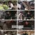 6시 내고향.E7712.230126.720p.H264-F1RST