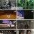 다큐 인사이트.E136.230126.1080p.H264-F1RST