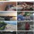 걸어서 세계속으로.E777.230128.720p.H264-F1RST