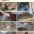 동물극장 단짝.E48.230128.720p.H264-F1RST