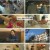 인간극장.E5511.230202.1080p.H264-F1RST