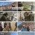 자연의 철학자들.E44.230203.720p.H264-F1RST