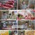 식객 허영만의 백반기행.E187.230203.720p.H264-F1RST