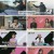 한번더체크타임.E125.230206.720p.H264-F1RST