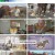 순간포착 세상에 이런일이.E1216.230207.720p.H264-F1RST