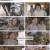 한국인의 밥상.E595.230209.1080p.H264-F1RST