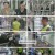 진상월드.E03.230210.720p.H264-F1RST