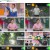 이슈 Pick, 쌤과 함께.E121.230212.720p.H264-F1RST