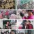 6시 내고향.E7724.230213.480p.H264-F1RST