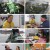 6시 내고향.E7729.230220.720p.H264-F1RST