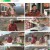 나는 자연인이다.E542.230222.1080p.H264-F1RST