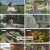 세상에서 가장 아름다운 여행.E1069.230226.1080p.H264-F1RST