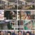 고두심이 좋아서.E44.230228.720p.H264-F1RST