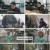 그것이 알고 싶다.E1342.230304.1080p.H264-F1RST