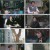꼬리에꼬리를무는그날이야기.E69.230309.720p.H264-F1RST