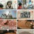 천기누설.E559.230310.720p.H264-F1RST