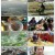 팔도밥상.E297.230311.720p.H264-F1RST