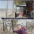 동물극장 단짝.E52.230311.720p.H264-F1RST