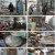 생활의 달인.E880.230320.720p.H264-F1RST