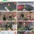 나는 자연인이다.E546.230322.720p.H264-F1RST