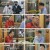 특종세상.E575.230323.720p.H264-F1RST