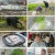 천기누설.E561.230324.720p.H264-F1RST