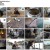 생활의 달인.E881.230327.720p-NEXT