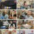 찾아라! 특종 건강백서.E05.230402.1080p.H264-F1RST