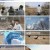 자연의 철학자들.E51.230407.720p.H264-F1RST