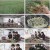 팔도밥상.E300.230408.1080p.H264-F1RST