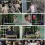 어쩌다 어른.E27.230411.720p.H264-F1RST