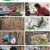 나는 자연인이다.E549.230412.1080p.H264-F1RST