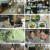 알약방.E146.230413.720p.H264-F1RST
