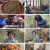 6시 내고향.E7768.230417.720p.H264-F1RST