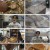 생활의 달인.E884.230417.1080p.H264-F1RST