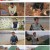 이웃집 찰스.E383.230418.720p.H264-F1RST