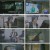 다큐 인사이트.E147.230420.1080p.H264-F1RST
