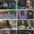 꼬리에꼬리를무는그날이야기.E75.230420.720p.H264-F1RST