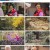 자연의 철학자들.E53.230421.720p.H264-F1RST